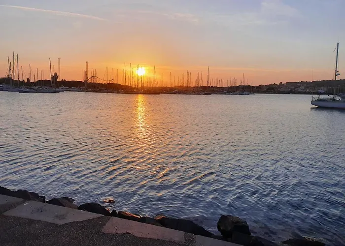 24 Tropic Deluxe * 아그