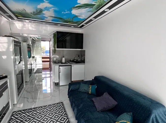 24 Tropic Deluxe 아그